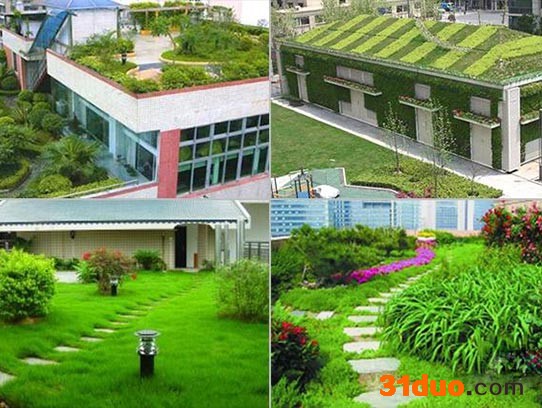 缤纷园林 屋顶植物 阳台绿化植物墙绿化 墙体绿化芳园花卉厂家现货经销商