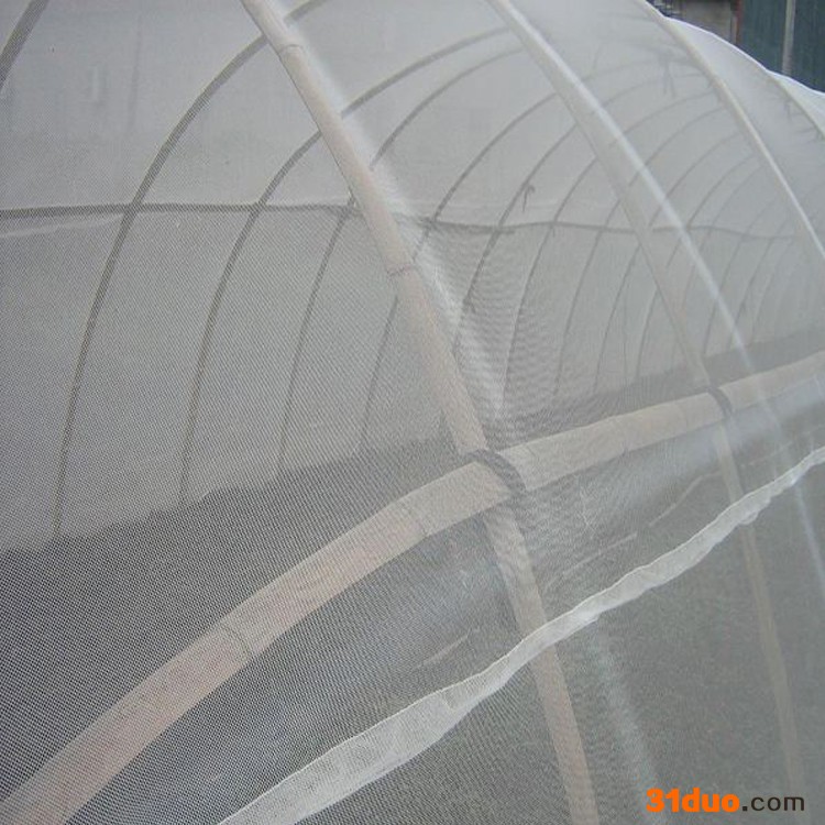 铭湾 防虫网  园艺花卉苗木防虫网 农业防虫网 40目防虫网 防虫网价格