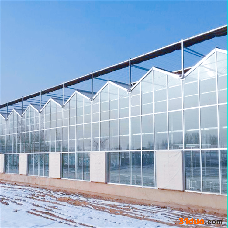 齐阳温室QY2021 玻璃温室施工方案湖南连栋温室厂家智能温室大棚用途育苗花卉蔬菜种植