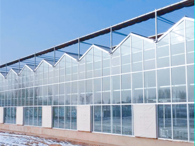 齐阳温室QY2021 玻璃温室施工方案湖南连栋温室厂家智能温室大棚用途育苗花卉蔬菜种植