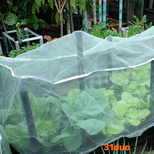 铭湾 防虫网  园艺花卉苗木防虫网 耐老化40目防虫网 防虫网100目 **推荐防虫网