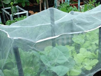 铭湾 防虫网  园艺花卉苗木防虫网 耐老化40目防虫网 防虫网100目 **推荐防虫网