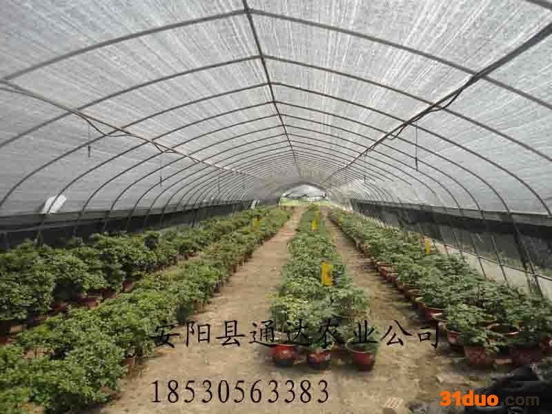 供应通达 GP-622花卉温室大棚,花卉养殖大棚
