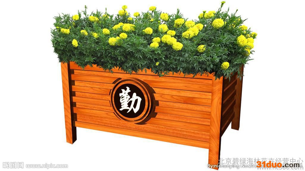 花卉租摆花卉销售