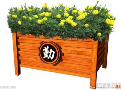 花卉租摆花卉销售