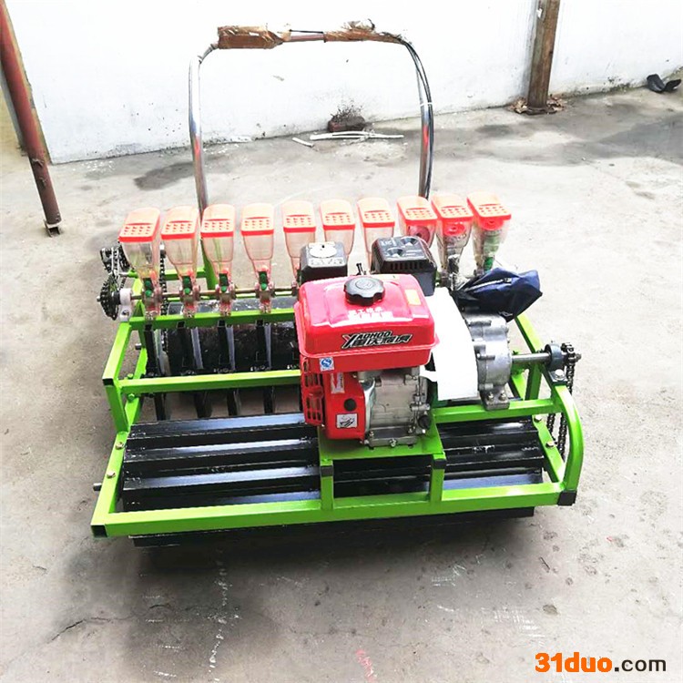 广盛   大棚手推式汽油蔬菜播种机 电动花卉药材精播机 人力芹菜播种机
