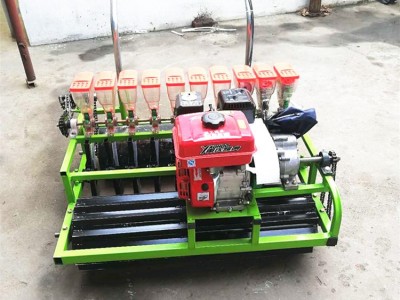 广盛   大棚手推式汽油蔬菜播种机 电动花卉药材精播机 人力芹菜播种机