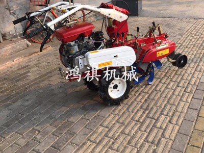 花卉基地旋耕松土机 葡萄甘蔗种植挖沟机 菜地花场施肥旋耕松土机