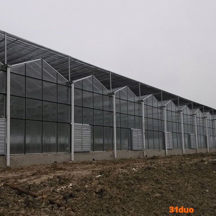 【海华大棚】宿州连栋温室大棚 智能育苗温室大棚 玻璃温室花卉大棚厂家