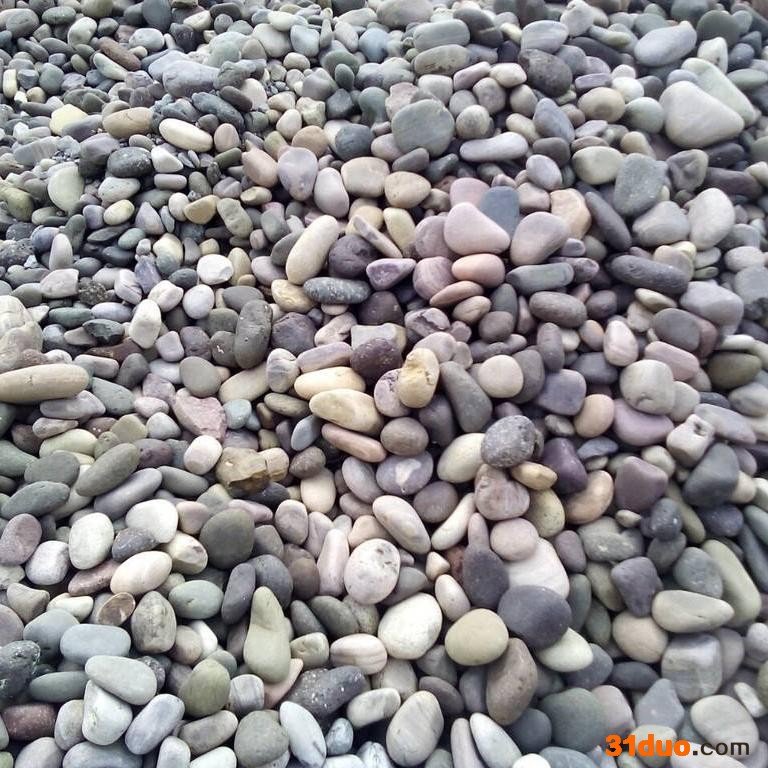 威泰环保鹅卵石滤料 水处理垫层鹅卵石滤料 花卉园林造景鹅卵石 **