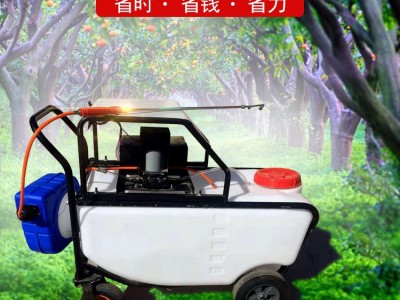 手推式多用途高压打药喷雾机 推车式大容量远射程电瓶充电式喷雾器 家用蔬菜大棚果花卉打药机