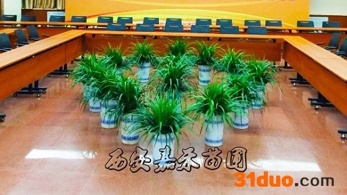 西安花卉网花卉租摆价格