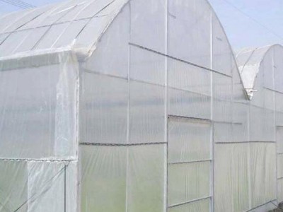 ** 防虫网 尼龙网  果树防虫网 聚乙烯防虫网  花卉防虫网