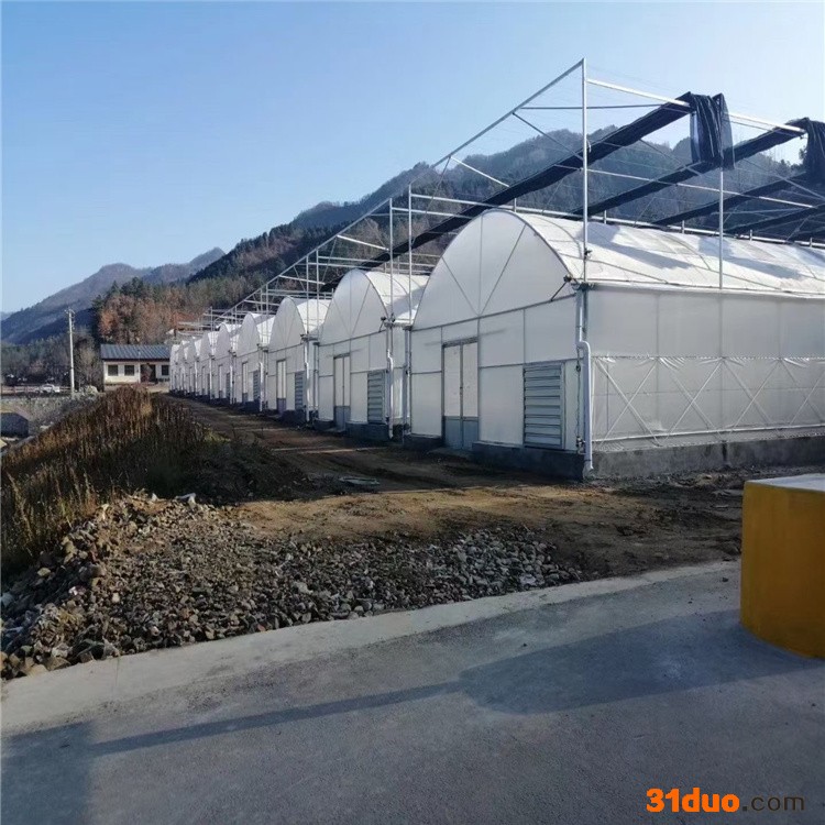 齐阳阳光板温室采用8mmPC板 连栋薄膜温室大棚花卉蔬菜种植四川温室大棚厂家