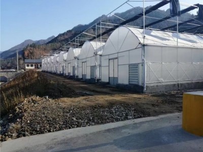 齐阳阳光板温室采用8mmPC板 连栋薄膜温室大棚花卉蔬菜种植四川温室大棚厂家