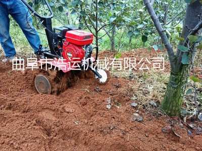 山东曲阜浩运机械工厂批发小型大棚蔬菜松土锄草机 苗圃花卉旋耕机 四冲程7.5马力旋耕机