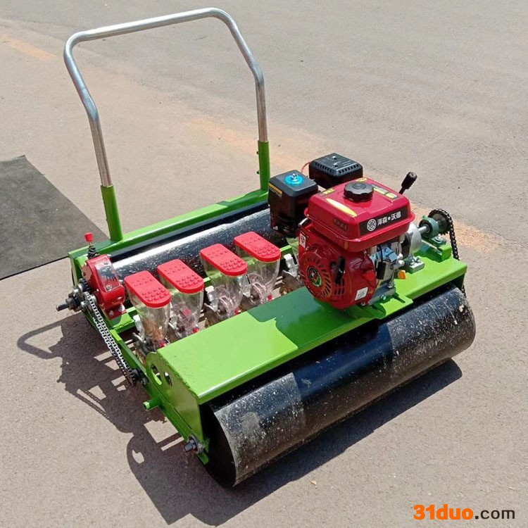 绵阳汽油自走式茴香油菜点播机 恒泰电动蔬菜播种机 花卉种子种植机现货