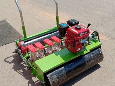 绵阳汽油自走式茴香油菜点播机 恒泰电动蔬菜播种机 花卉种子种植机现货