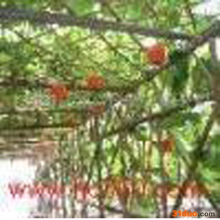 供应花卉储蓄库