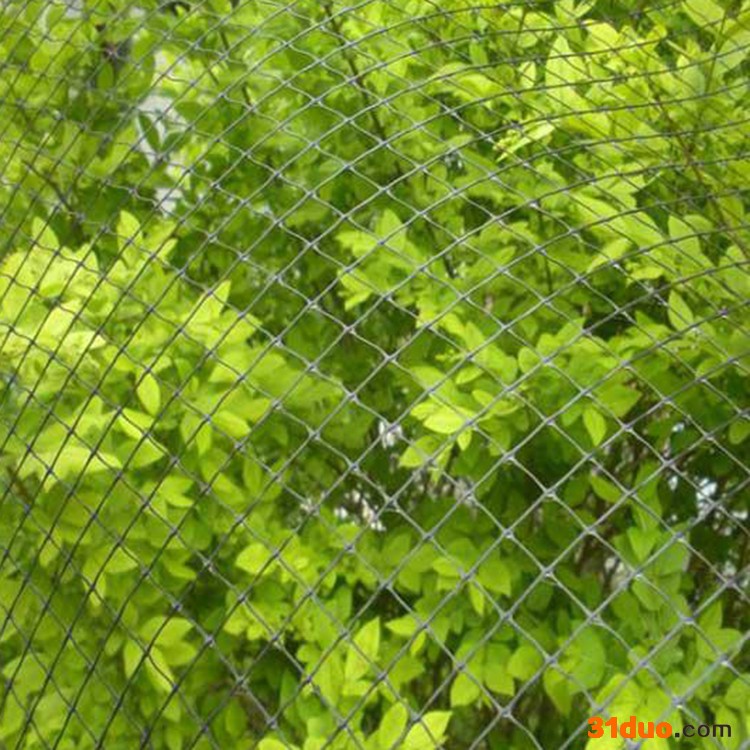 万联丝网  现货供应 植物攀爬网 花卉支架防倒网 豌豆搭架网 植物支架网