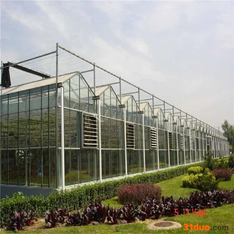 鼎荣钢管BCZ-8 玻璃温室 智能温室 现代智温室 连栋智温室花卉 智温室育苗 智温室阳灯光板 智温室