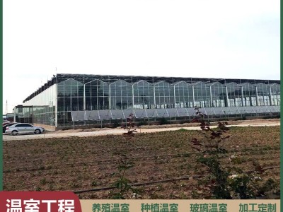 新型智能全自动玻璃温室骨架建设 南方花卉种植连栋大棚架子农业