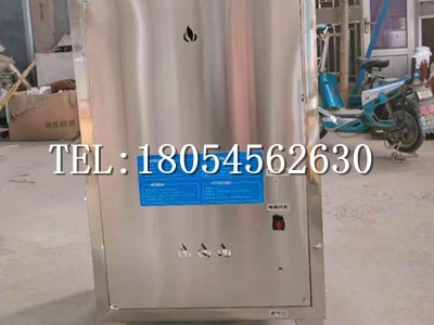 安徽亳州立式环保液化气锅炉 不锈钢燃气蒸汽机大棚花卉保温桑拿洗浴