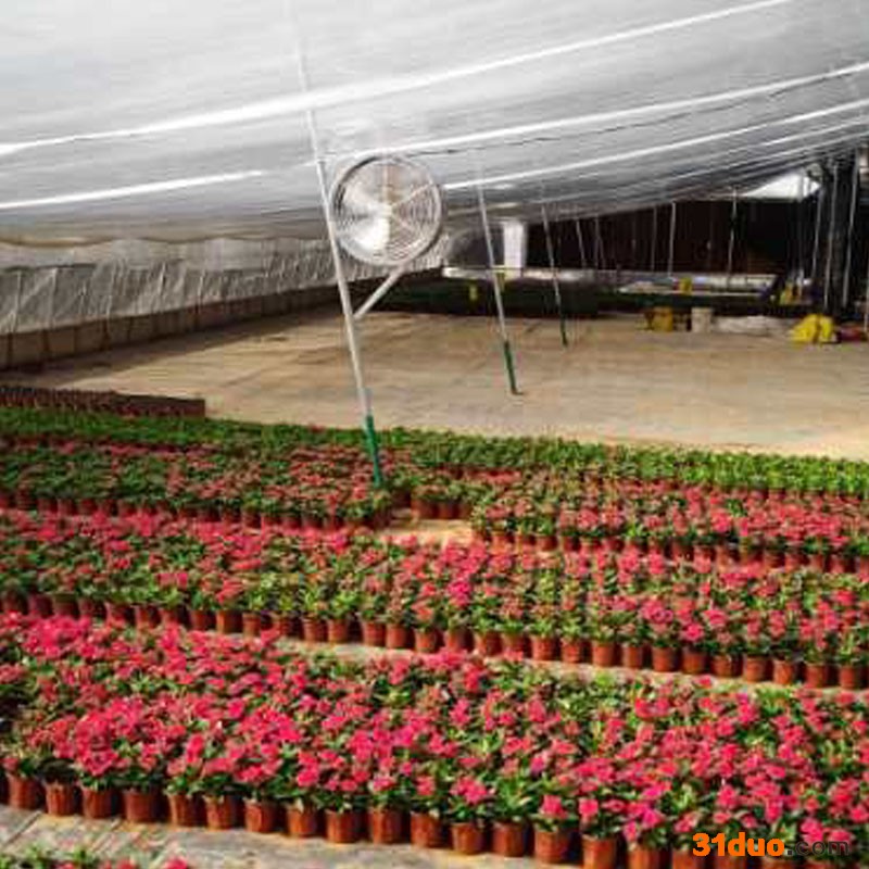 **轴流风机 环流风机 工厂车间 花卉温室 养殖场等场所通风换气