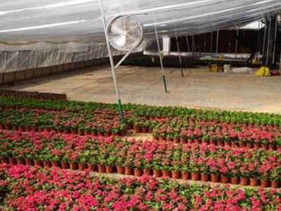 **轴流风机 环流风机 工厂车间 花卉温室 养殖场等场所通风换气