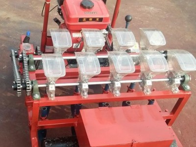 农康自走6行 自走式蔬菜播种机 汽油机蔬菜播种机 大型花卉药材点播机 手推蔬菜谷物精播机