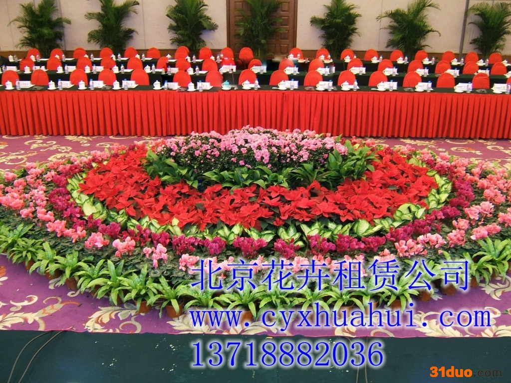 花卉租摆就选，北京花卉租摆