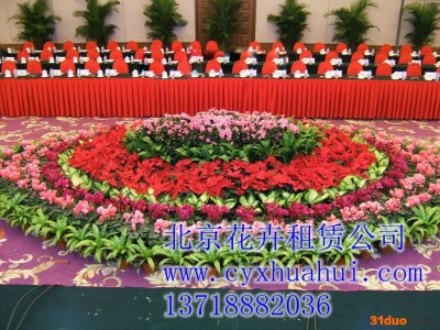 花卉租摆就选，北京花卉租摆
