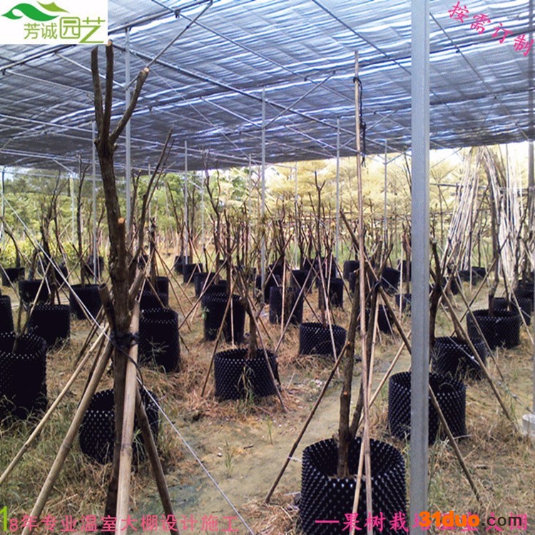 芳诚FC-008 花卉温室大棚*简易花卉温室大棚*免费设计