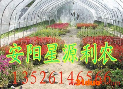 供应星源利农花卉大棚支架温室蔬菜大棚，花卉大棚支架，星源