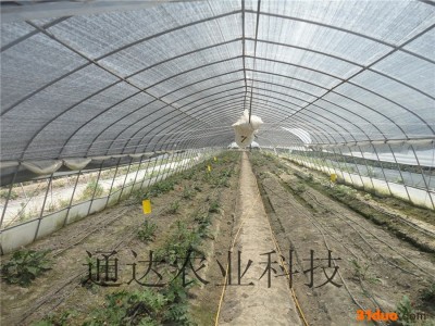 供应通达农业pp3花卉大棚,蔬菜大棚