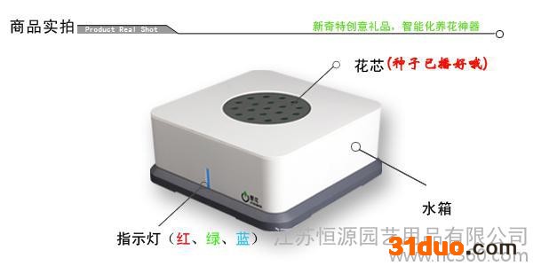 辣椒花盒，智能花盒、 花卉智养机、创意礼品、家居饰品