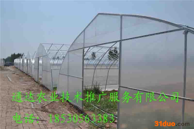 花卉大棚建设长度西瓜拱棚建造厚度