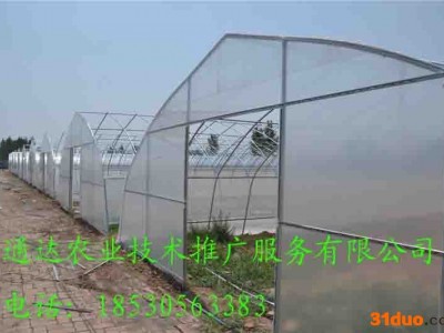 花卉大棚建设长度西瓜拱棚建造厚度