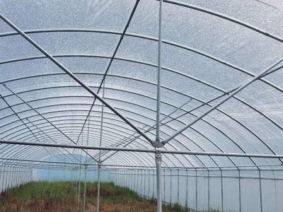 连栋温室_智能连栋棚_花卉连栋大棚_农业连栋大棚