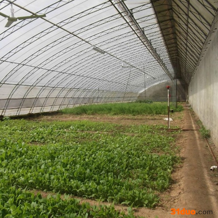 东营 温室大棚设施 温室工程 花卉大棚