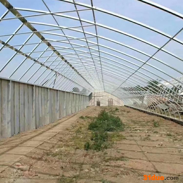 连栋大棚_智能连栋棚_花卉连栋大棚_建造连栋大棚
