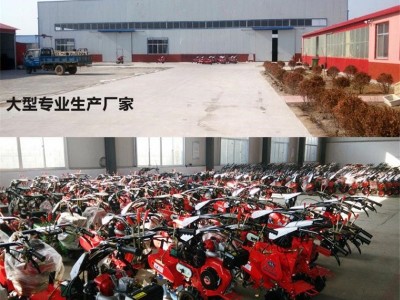 大葱开沟扶垄机 旋耕松土扶垄开沟机 甘蔗、花卉旋耕犁地机