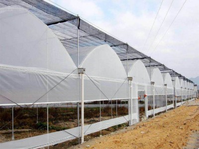 厂家生产   防虫网 白色防虫网  加厚防虫网 聚乙烯防虫网  花卉防虫网