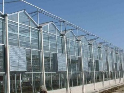 鑫宝金20210511 温室大棚用途 花卉温室大棚 蔬果温室大棚