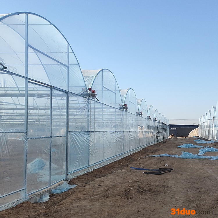 鑫宝金2 连栋薄膜温室 薄膜大棚 花卉温室 羊肚菌大棚 黑木耳大棚