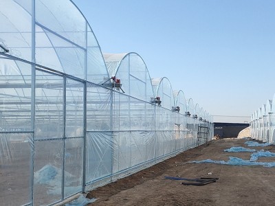 鑫宝金2 连栋薄膜温室 薄膜大棚 花卉温室 羊肚菌大棚 黑木耳大棚