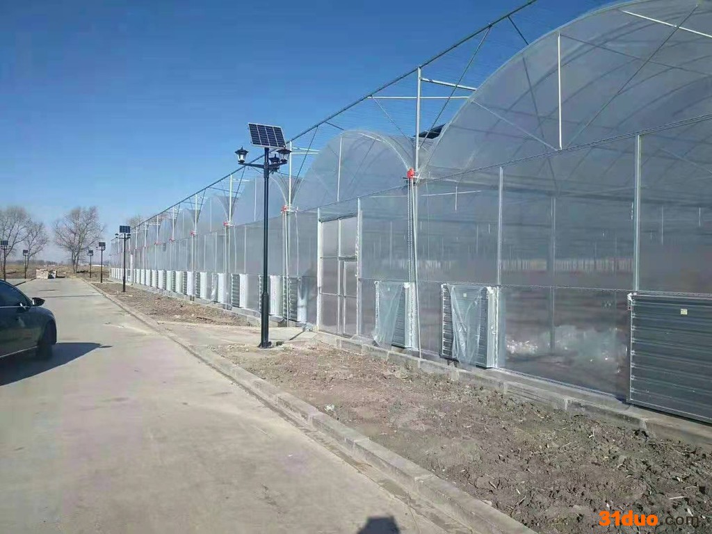 鑫宝金20210506东北木耳日光温室大棚 西北葡萄温室大棚  西南花卉玻璃温室大棚