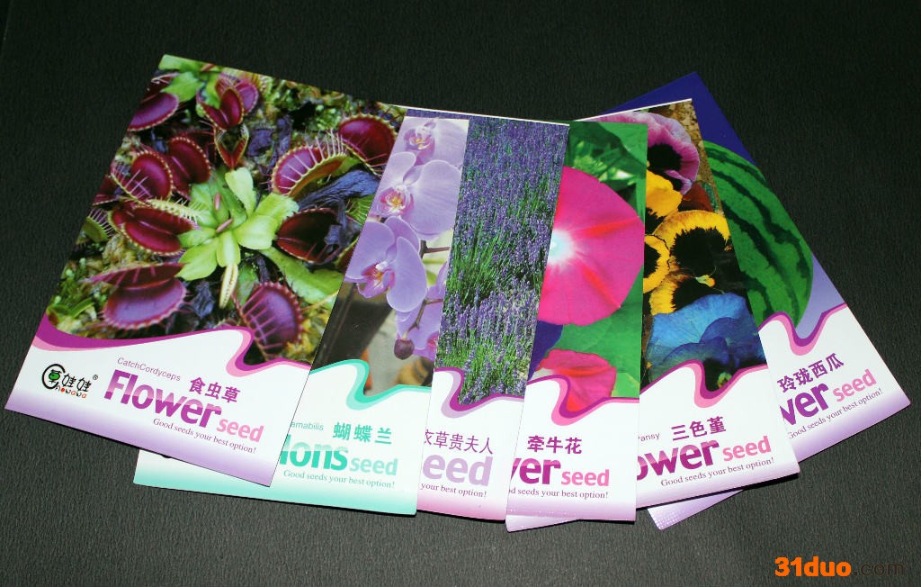 供应花卉种子 盆栽花种 花草种子 家庭园艺种子  微型盆栽种子 花卉种子批发