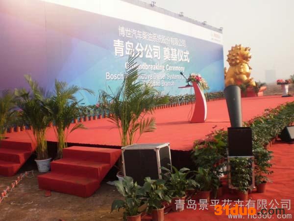 青岛景平花卉花卉绿植租摆销售招租