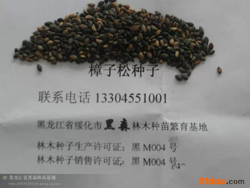 花卉种子、种苗